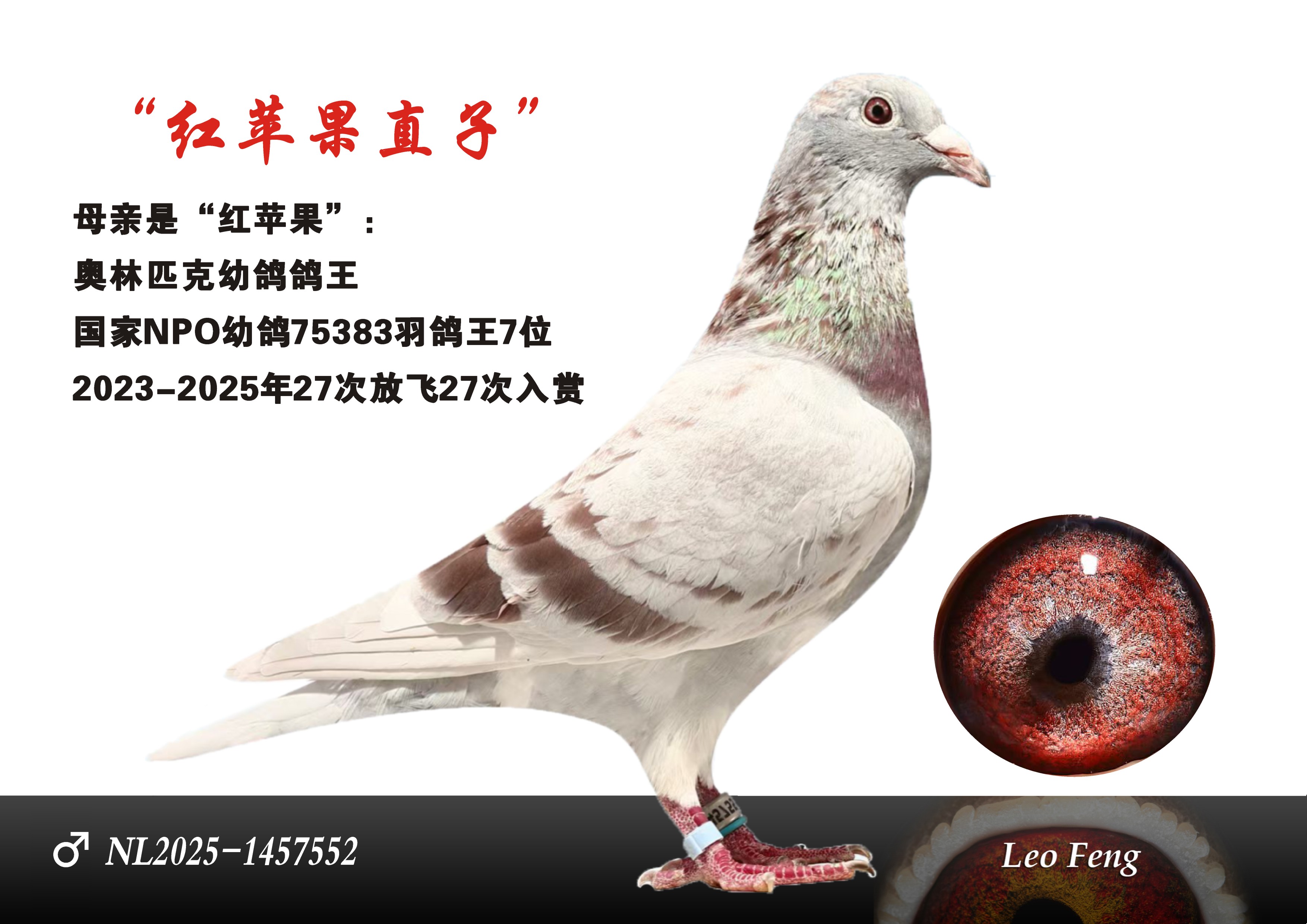 红苹果直子