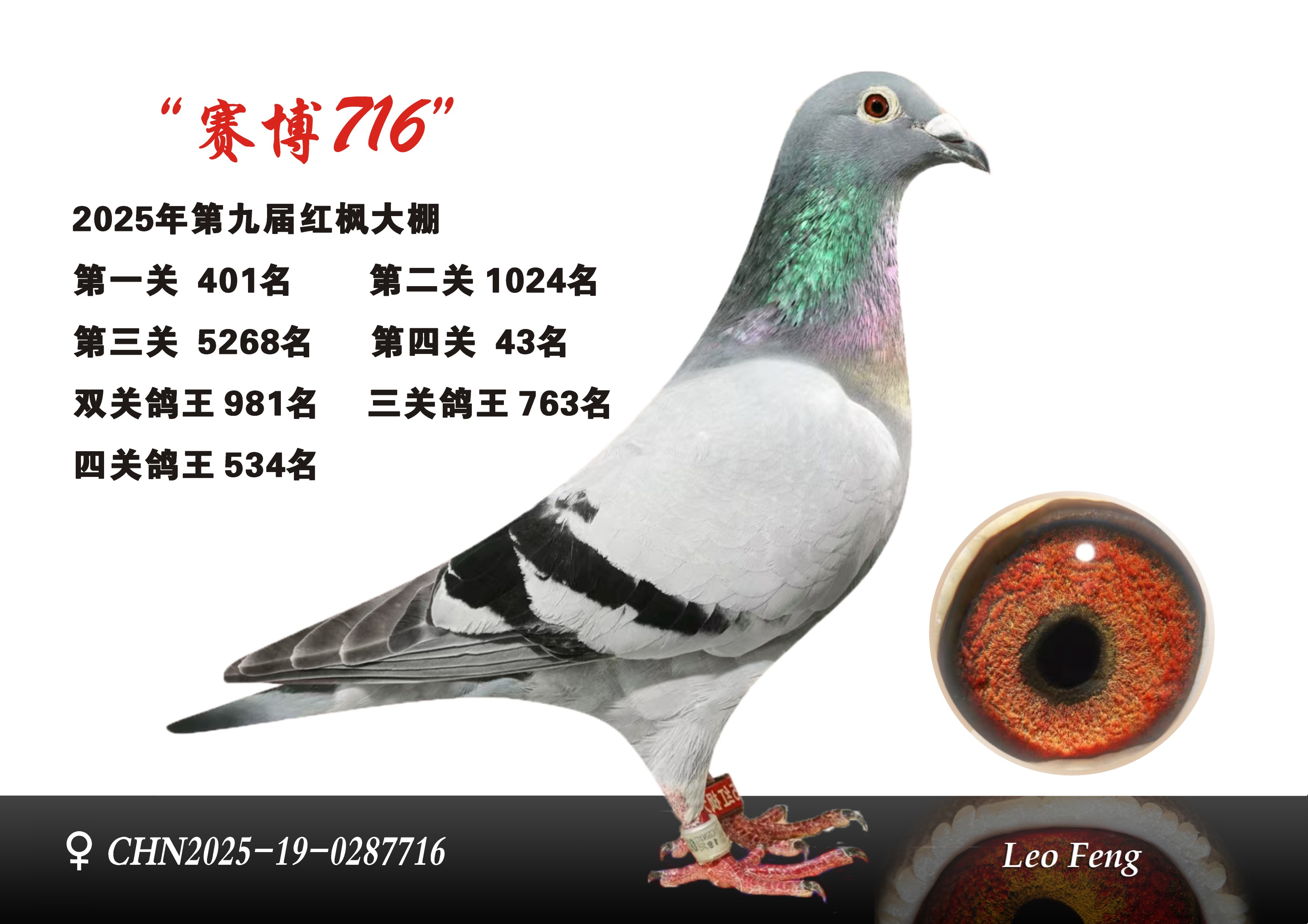 红枫公棚（赛博716）