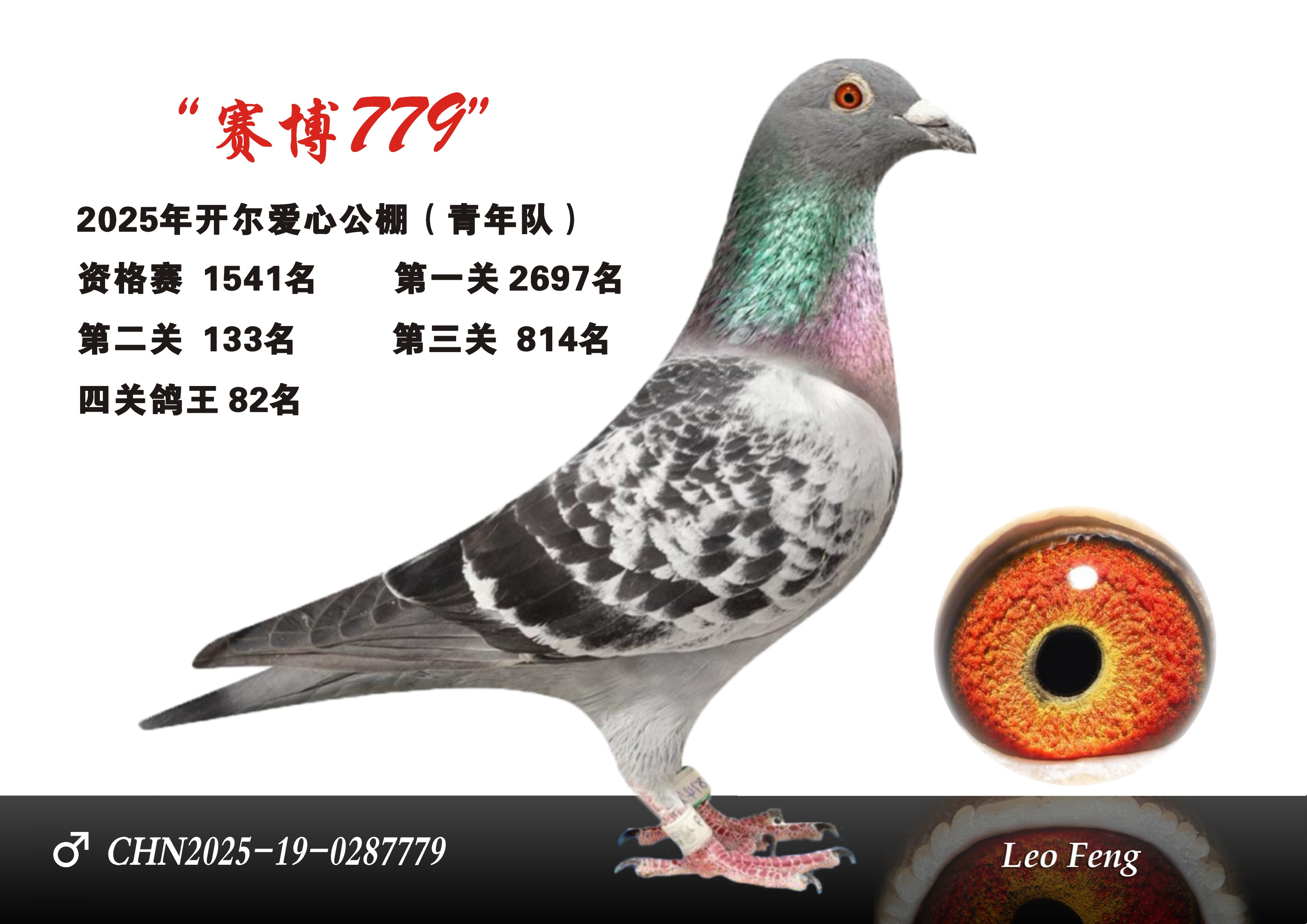 开尔公棚（赛博779）